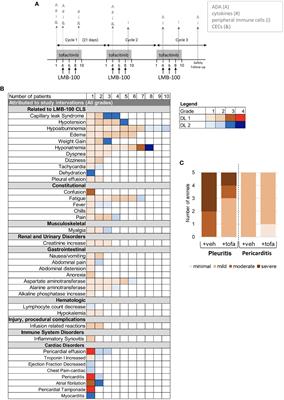 Tofacitinib to prevent anti-drug antibody formation against LMB-100 immunotoxin in patients with advanced mesothelin-expressing cancers